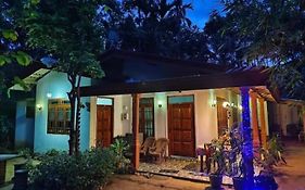 Ella Jungle Inn Homestay And Tree House