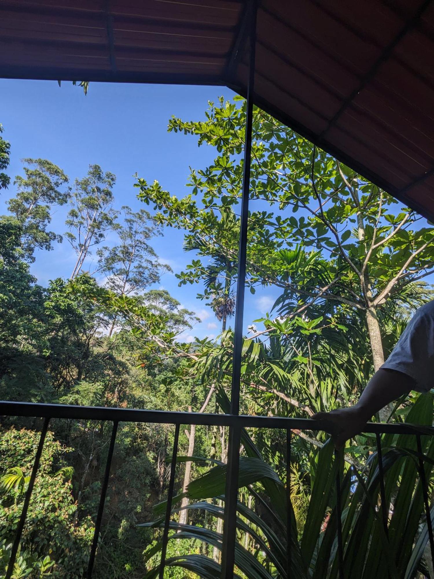 Ella Jungle Inn Homestay And Tree House Экстерьер фото